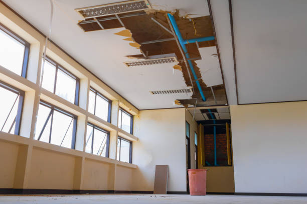 Best Basement water damage restoration  in Mcguire Af, NJ