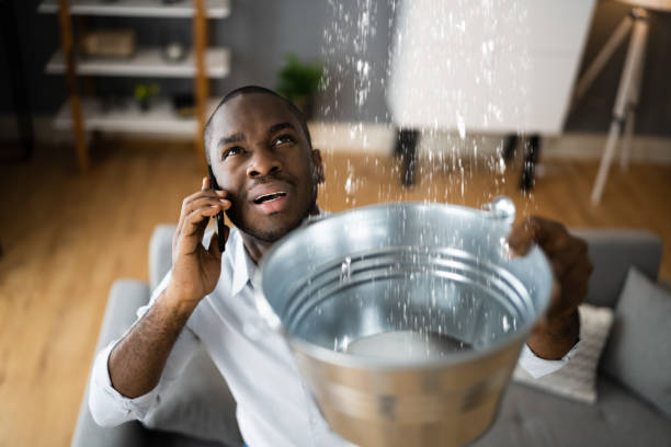 Best Water damage restoration mold remediation  in Mcguire Af, NJ