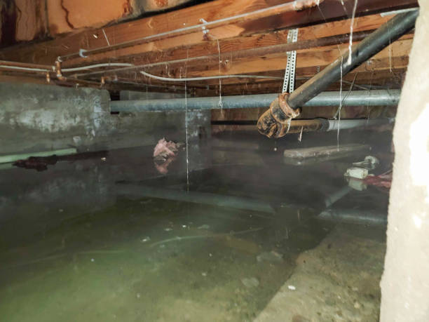  Mcguire Af, NJ Water damage restoration Pros