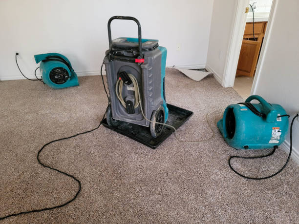 Best Water damage repair service  in Mcguire Af, NJ