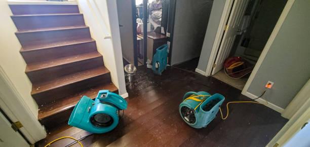 Best Ceiling water damage repair  in Mcguire Af, NJ