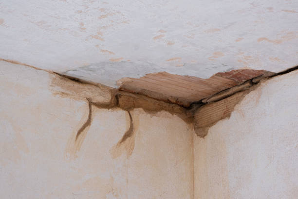 Best Water damage restoration near me  in Mcguire Af, NJ