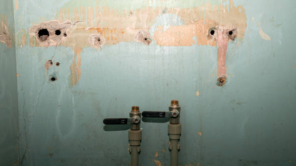 Best Flood damage cleanup  in Mcguire Af, NJ