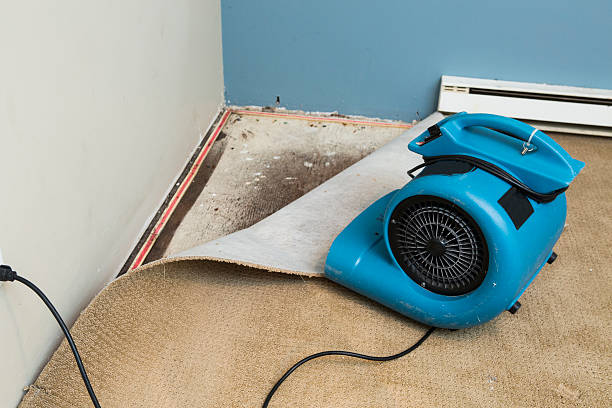 Best Water damage restoration specialists  in Mcguire Af, NJ